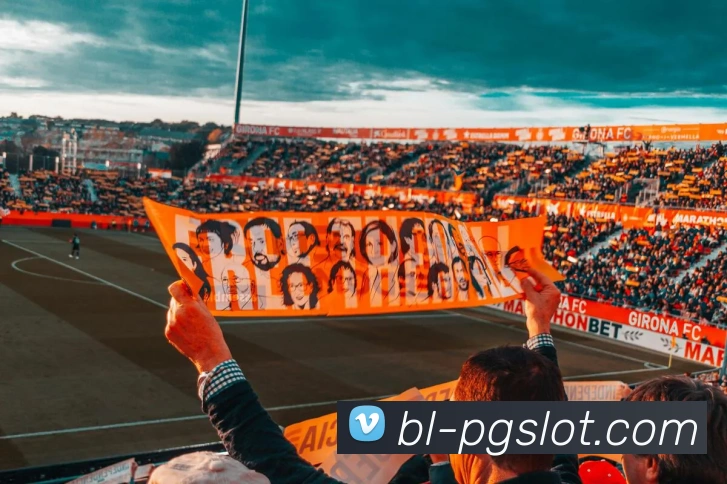 麻将胡了PG官网服务体系